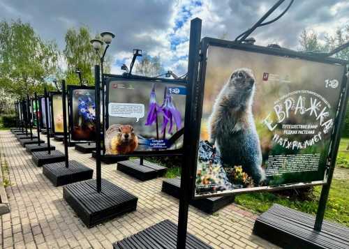 В этнографической деревне Бибирево открылась фотовыставка РГО «Евражка-натуралист: путешествие в мир редких растений».