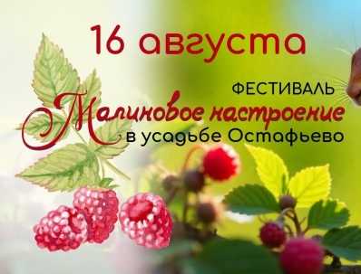 Фестиваль «Малиновое настроение»