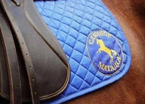 Приглашаем всех желающих в Лианозовский парк на увлекательную игровую познавательную программу "Время лошади"!