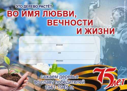 Аллеи победителей. В России стартовала эколого-патриотическая акция «Во имя любви, вечности и жизни».