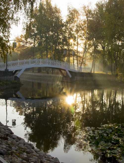 Лианозовский парк
