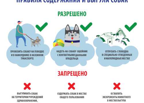 ОБЯЗАННОСТИ ВЛАДЕЛЬЦЕВ ЖИВОТНЫХ.
