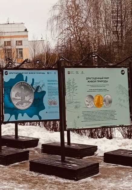 Приглашаем вас на фотовыставку от Банка России "Драгоценный мир живой природы", которая открылась в этнографической деревне Бибирево!