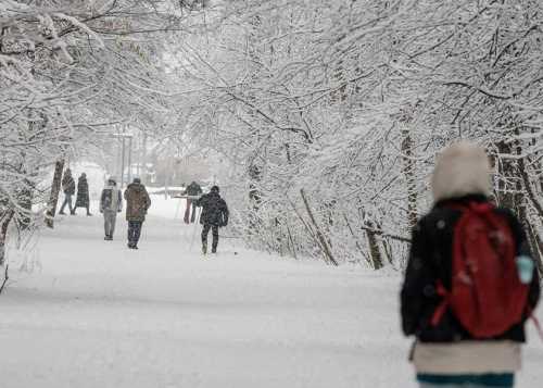 Фестиваль «Москва, сияй!»