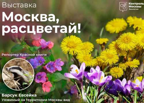 Эколого-просветительский фестиваль «Москва, расцветай!»