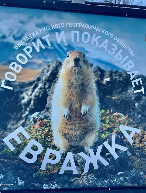 В Лианозовском парке открылась выставка РГО "Говорит и показывает Евражка".