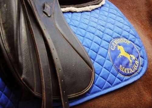 25 февраля в Лианозовском парке состоится – бесплатный тренинг под названием "Верховая езда для здоровья"