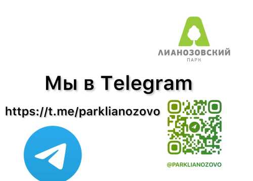 Мы в Telegram