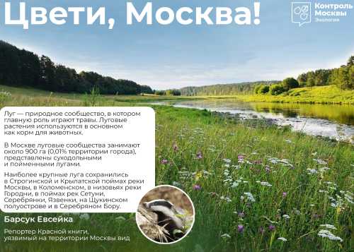 Цвети, Москва!