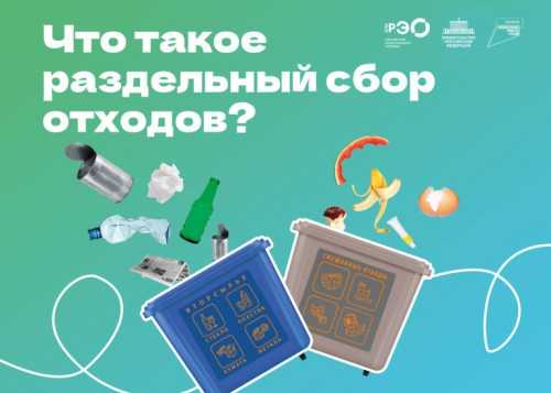 «Российский экологический оператор» научит раздельному сбору и осознанному потреблению.