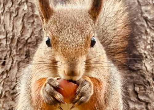 Приглашаем 22 марта на бесплатный мастер‑класс «Создание персонажей из коллажей» от студентов колледжа МИПК им. И. Фёдорова!