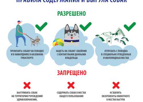 Памятки для владельцев животных