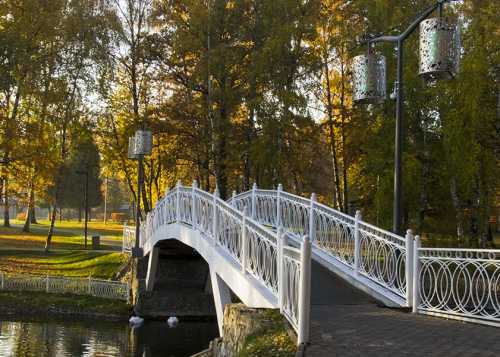 В Лианозовском парке с 1 марта открыта фотовыставка «Новогодний фестивAL»