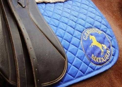 Приглашаем всех желающих посетить уникальное мероприятие ипповенции “Дружба с лошадью“, которое состоится 11 февраля.