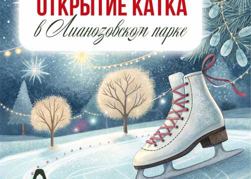 В Лианозовском парке открылся новый каток с искусственным покрытием!