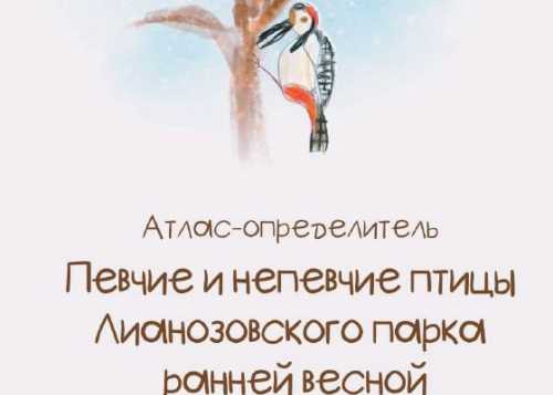 Певчие и непевчие птицы Лианозовского парка ранней весной