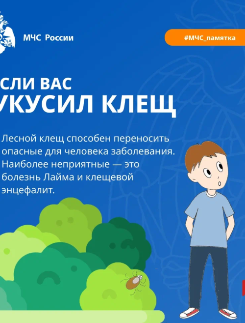 ЕСЛИ ВАС УКУСИЛ КЛЕЩ
