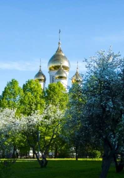 Приглашаем в парк "Ангарские пруды" 25 и 26 мая на цикл бесплатных кинопоказов от Русского географического общества "Тайны Большого Золотого Кольца России".