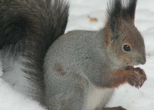 Приглашаем вас окунуться в мир вдохновляющих историй на новой фотовыставке "Наши", которая открылась в Лианозовском парке в зоне аттракционов."