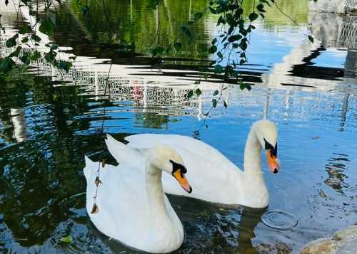 Приглашаем 7 марта на бесплатный мастер‑класс «Карта желаний» в Лианозовский парк!