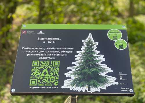 В Лианозовском парке и в Ландшафтном заказнике "Лианозовский" установлены информационные таблички о зеленых насаждениях.